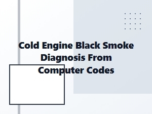 Diagnosing a Cold Engine's Black Smoke via Computer Codes