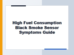 A Guide to High Fuel Consumption and Black Smoke Symptoms
